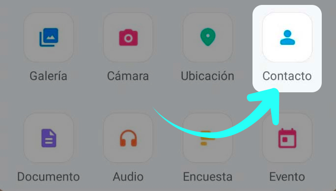 Contacto dentro de las funciones de WhatsApp